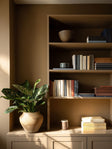 DESICCATION™ INTERIOR EMULSION PAINT