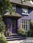 PULP™ EXTERIOR MASONRY PAINT