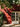 CORDUROY™ EXTERIOR MASONRY PAINT - Knuckles