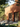 ROCKING HORSE™ EXTERIOR MASONRY PAINT - Knuckles