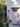 DOROTHY™ EXTERIOR MASONRY PAINT - Knuckles