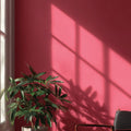 After Hours Interior Emulsion Paint - Image 5