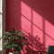 After Hours Interior Emulsion Paint - Image 5