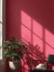 After Hours Interior Emulsion Paint - Image 5
