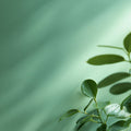 Beryl Mint Interior Emulsion Paint - Image 4