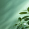 Beryl Mint Interior Emulsion Paint - Image 4