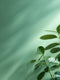 Beryl Mint Interior Emulsion Paint - Image 4