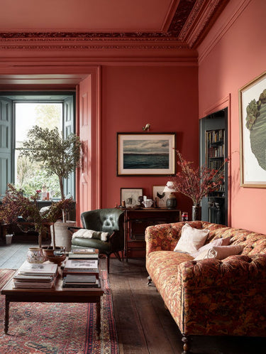 Betty Interior Emulsion Paint - Image 9
