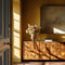 Birdie Interior Emulsion Paint - Image 5
