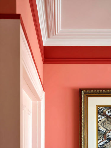 Boston Marrow Interior Emulsion Paint - Image 6
