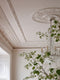 Cable Knit Interior Emulsion Paint - Image 4