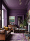Callicarpa Interior Emulsion Paint - Image 11