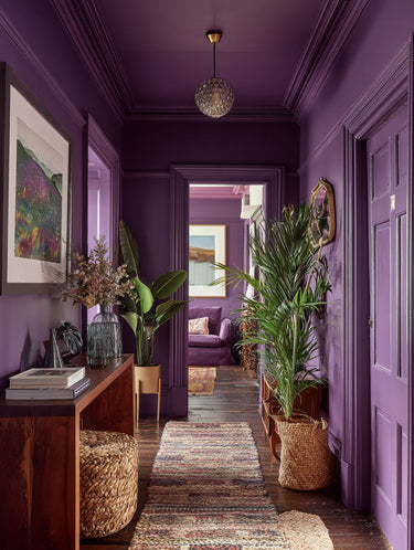 Callicarpa Interior Emulsion Paint - Image 7