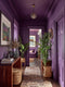 Callicarpa Interior Emulsion Paint - Image 7