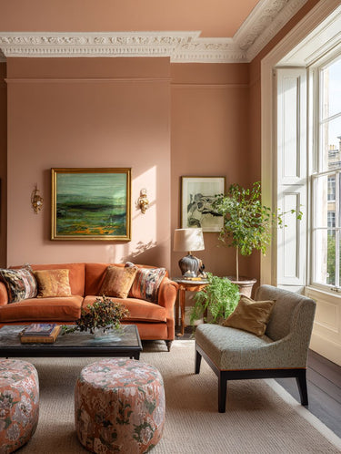 Canyon Clay Interior Emulsion Paint - Image 8