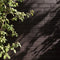 Catapult Exterior Masonry Paint - Image 10