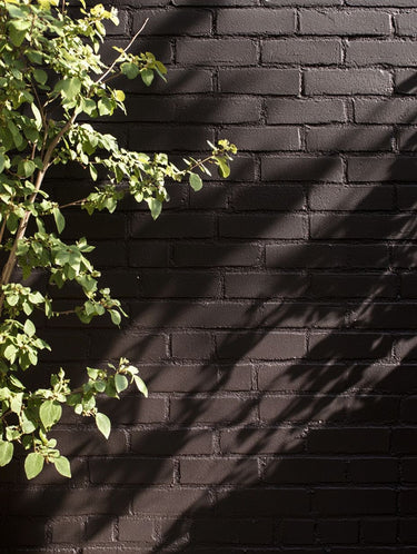 Catapult Exterior Masonry Paint - Image 10