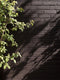 Catapult Exterior Masonry Paint - Image 10