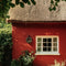 Corduroy Exterior Masonry Paint - Image 3
