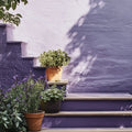 Cottage Garden Exterior Masonry Paint - Image 14