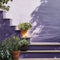 Cottage Garden Exterior Masonry Paint - Image 14