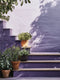 Cottage Garden Exterior Masonry Paint - Image 14
