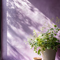 Cottage Garden Exterior Masonry Paint - Image 3