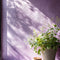 Cottage Garden Exterior Masonry Paint - Image 3