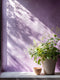 Cottage Garden Exterior Masonry Paint - Image 3