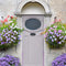 Dorothy Exterior Front Door Paint - Image 3