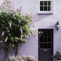 Dorothy Exterior Masonry Paint - Image 7