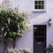 Dorothy Exterior Masonry Paint - Image 7