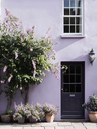 Dorothy Exterior Masonry Paint - Image 7