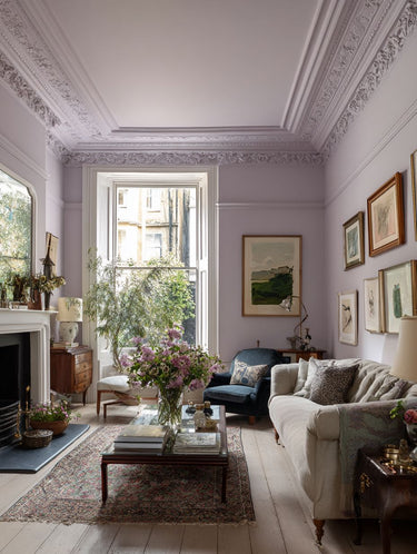 Dorothy Interior Emulsion Paint - Image 10