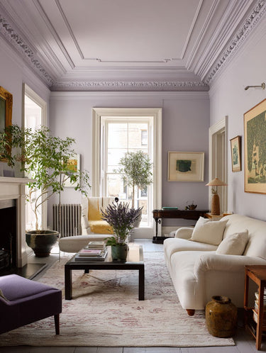 Dorothy Interior Emulsion Paint - Image 12