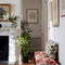 Dorris White Interior Emulsion Paint - Image 10