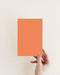 Double Take Exterior Front Door Paint - Image 2