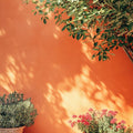 Double Take Exterior Masonry Paint - Image 2