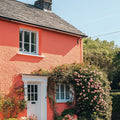 Double Take Exterior Masonry Paint - Image 4