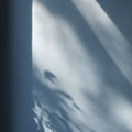 Draper'S Folly Interior Emulsion Paint - Image 7