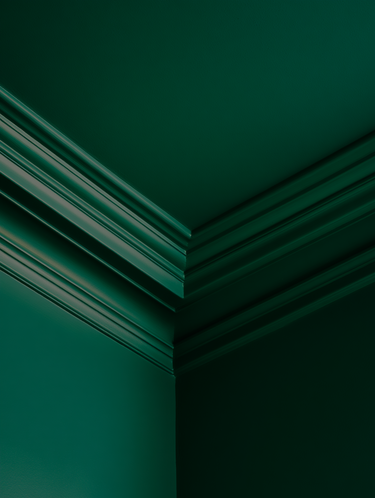 BROOCH™ INTERIOR EMULSION PAINT