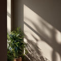 Hosting Interior Emulsion Paint - Image 1