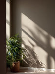 HOSTING™ INTERIOR EMULSION PAINT