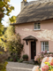 HARRIETT'S JACKET™ EXTERIOR MASONRY PAINT - Knuckles