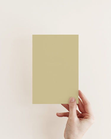 HIDDEN NEST™ EXTERIOR MASONRY PAINT - Knuckles