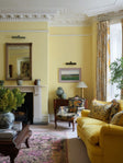 LEMON GLAZE™ INTERIOR EMULSION PAINT