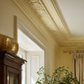 Lemon Glaze Interior Emulsion Paint - Image 6