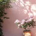 Lullaby Exterior Masonry Paint - Image 8