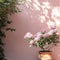 Lullaby Exterior Masonry Paint - Image 8
