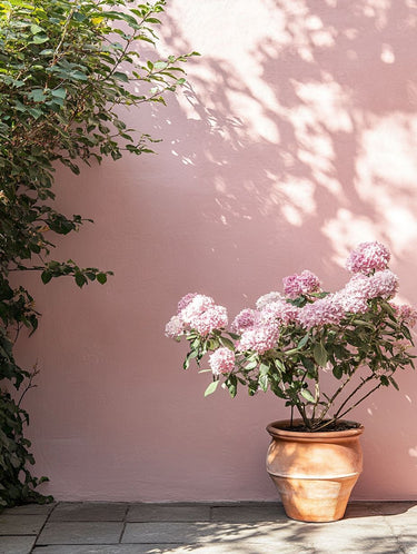 Lullaby Exterior Masonry Paint - Image 8